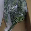 Large Artificial Ferns for Outdoor 49" Fake Boston Fern 49 Fronds Faux Ferns Plant Silk Greenery for Indoors Home Garden Porch Windowsill Decor (1 Stem)
