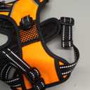 PHOEPET No Pull Dog Harnesses for Small Dogs Reflective Adjustable Front Clip Vest with Handle 2 Metal Rings 3 Buckles [Easy to Put on & Take Off] (S, Orange)