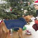 Fragralley Dog Coat Medium, Waterproof Dog Jacket with Warm Fleece Lining, Adjustable Reflective Dogs Winter Coat, Turtleneck Pet Coats for Cold Weather (Blue M)