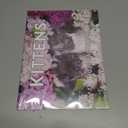 Kitten Calendar 2026 Cat Kitty Gifts Monthly Wall Calender 12 Month | American Made In The USA