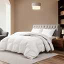 Hotel Suite Luxurious Feather and Down Comforter Duvet Insert Full/Queen Size, 100% Cotton Cover, Hotel Collection Quilts, 56 oz Fill Weight, All Season Medium Warmth 88 x 88 Inch White