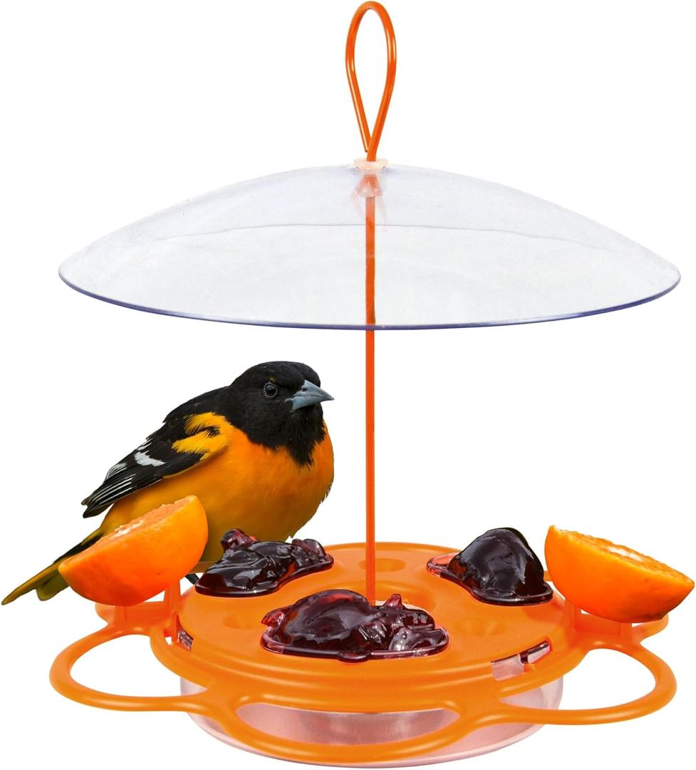 Nature's Way OFP1 All-in-One Oriole Buffet Bird Feeder, Orange