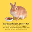 Kaytee Fiesta Rabbit Food, Nutritious and Fun Blend, Supports Dental Health and Digestion, 6.5 pounds