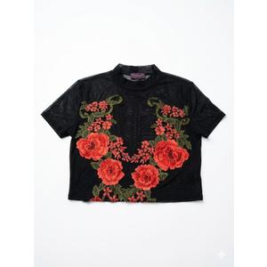 Women's Sheer Mesh Crop Top Lace Short Sleeve Crew Neck See Through Tshirts Summer Outfits, L