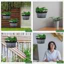12 Pcs Wall Hanging Planters Outdoor Wine Barrel Planter Distressed Oak Thickened Plastic Water Storage Flower Pots for Plants Flower Indoor Outdoor Railing Fence (Black,10 Inch)