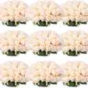 Jexine 100 Pieces Artificial Roses Flowers Bulk, Long Stem Realistic Fake Silk Roses Bouquet for Table Centerpiece Vases Wedding Party Kitchen Decor(Beige)