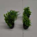 4 Pack Artificial Plants in Black Pot - Fake Mini Potted Plants with Eucalyptus & Fern - Faux Plants for Home, Bathroom, Office, Indoor Decor