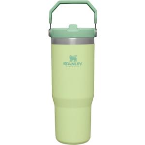 Stanley IceFlow Stainless Steel Tumbler with Straw - Vacuum Insulated Water Bottle for Home, Office or Car - Reusable Cup, Leakproof Flip -Cold for 12 Hours or Iced for 2 Days (Citron), 30oz