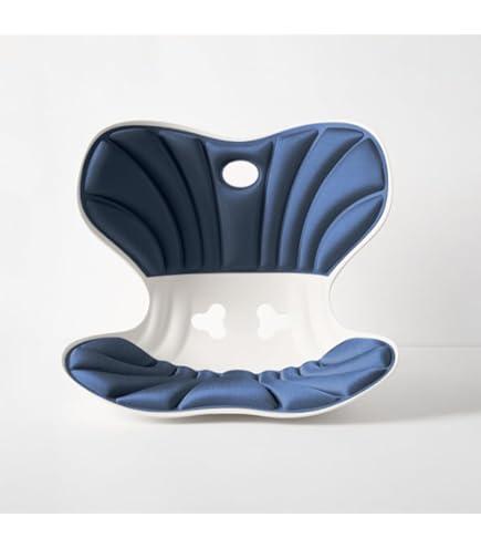 Ergonomic back support office chair cushion, back cushion for posture correction, suitable for long sitting to relieve low back pain - back posture corrector (blue, Large size-（19inch*16inch）)