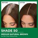 Garnier Nutrisse Ultra Crme Hair Color, Permanent Hair Dye with 100% Gray Coverage, Vegan & Cruelty-Free, 10 Black (Licorice), 1 Count