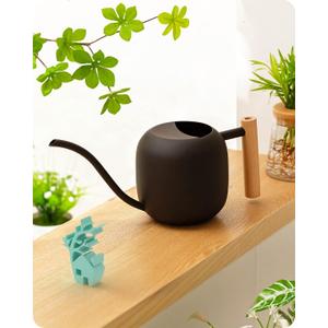 Baffect Watering Can Indoor Plants, 1.2L/41OZ Cute Watering Can Pot, Metal Stainless Steel Garden Water Can with Long Spout for Indoor House Plants Bonsai Outdoor Garden Flower Decorative