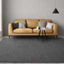 Large Ultra Soft Modern Area Rugs for Living Room Bedroom, 5x8 Feet Dark Grey Thickened Memory Foam Indoor Solid Minimalist Carpets, Non-Slip Comfy Rug for Boys Girls Nursery Room Home Decor