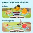 NETVUE by Birdfy Pro Perch - Wider Extension Perch to DIY Add-ons Including Suet Ball, Mini Hummingbird Feeder, Fruit Holder, Jelly Feeder and Welcome Card, Ideal for Bird Lover (Blue)