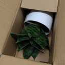 Hollyone Artificial Snake Plants 9" Faux Agave Succulent Plant Potted in White Pot Fake Sansevieria Aloe Tropical Plant for Desk Modern Office Home Bathroom Indoor Outdoor Decor