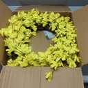 Huashen Summer Wreaths for Front Door, 24 Inch Yellow Forsythia Spring Door Wreath, Farmhouse Summer Door Wreaths on Grapevine for Christmas Celebration Wall Window Decoration Hanging