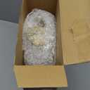 Janinka 14-17" Length Large Wood Reptile Branch for Bearded Dragon Driftwood Reptile Climbing Habitat Decoration for Terrarium Tree Trunk Ornament Gecko Frog Chameleon Spider