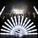 LED Foam Glow Sticks, Bulk Glow Sticks, LED Light Sticks, Light-Up Sticks for Concerts, Weddings, Raves, Carnivals, Halloween, Birthdays (White-30pcs)