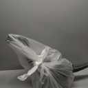 Dinosaur Ride On Toy Cars for Kids,Twinkoo Realistic Brachiosaurus Push Car with Three Sound Effects,Sound and Light Effects PP Wheels for Indoor/Outdoor Play,Best Gift for Kids(Brachiosaurus)