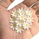 108 Count Edible Flower Cake Decorations, Small Edible Flowers, Sugar Flowers, Cakes & Cupcakes Toppers, Edible Dessert Decorations (0.8 Inch) (8 Petals White)