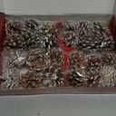 24 PCS Pine Cones for Christmas Tree Snowflake Natural Pinecones Ornament with String Pendant Crafts for Xmas Party Home Decor Fall Winter Holiday Christmas Tree Decoration (24)