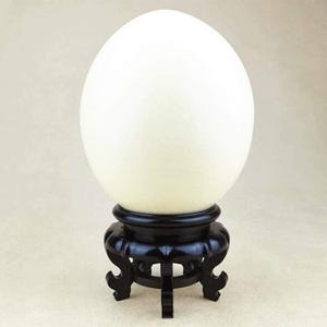 Fdit Display Stand, Carving Crafts, Egg Tray Base Bottom, Ornament for Homes or Offices, High Stability