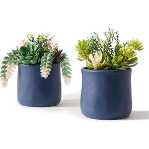 Artificial Succulent in Ceramic Pots, 2 Packs Large Faux Fake Plants Navy Blue for Desk,Office, Bedroom, Living Room, Bathroom Office Shelf Home Dcor
