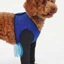 Dog Front Leg Sleeve to Stop Licking, Dog Elbow Protector for Surgery, Hot spot, Wound, Stitche, Granuloma, Skin Issues, Soft Breathable Cover for Large Medium Small Dogs, XS