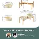 Havniva Ceramic 1.2 Cup Raised Slow Feeder Dog Bowl Set, Elevated 6.1inch Bowl and 7.3inch Puzzle Slow Food Dish with Wooden Stand for Medium and Small Dog, Anti-Gulping (2 xLight Yellow+ Stand)