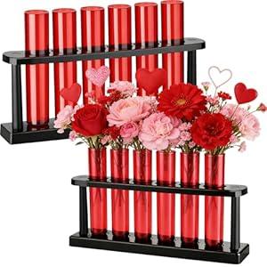 Meanplan 12 Pcs Valentine's Day Plant Terrarium with Holder Rack Clear Red Plant Propagation Station Test Tube Vases for Valentines Table Home Office Kitchen Party Decorations Planter Lover Gift
