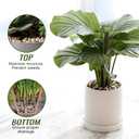 RITOLLO 6 lb Aquarium Gravel, 3/8 in Polished Fish Tank Rocks for Aquarium Decor, River Rocks for Indoor Plants Succulents, Decorative Stones for Outdoor Garden Decor (Mixed Color)