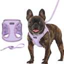 Rttochfy Small Dog Harness, Soft and Reflective Puppy Harness, Dog Harness and Leash Set for Small Size Dogs Training, Walking (Purple S) (S (Chest:14"-15.5"))