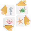 Papyrus Thank You Cards with Envelopes, Sea Creatures (20-Count) 