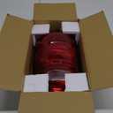 Dorman 1610250 Driver Side Tail Light Assembly Compatible with Select Ford Models (Red)