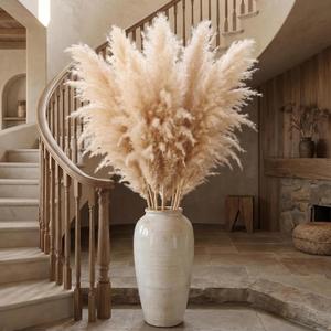 46" inch 20 Stems Natural Pampas Grass Decor Tall, Pompas Grass, Tall Pampas Grass for Weddingm, Farmhouse, Boho Home Decor (Beige)