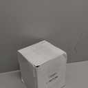 Elanze Designs Stegosaurus Dinosaur Friends Tabletop Figurine Fossil Bone Paleontologist 100MM Sturdy Glitter Water Musical Dinosaur Snow Globe Plays Tune Born Free