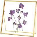 REDHUGO Double Glass Frame for Pressed Flowers Handmade, Tabletop Photo Frame for Floating Picture and Flower Press, Simple, Metal Geometric, Square, Gold, 8x8 Inches