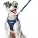 rabbitgoo Dog Harness Small Sized and Leash Set, Step in Soft Light Puppy Vest, Breathable Mesh Pet Harness, Reflective for Outdoor Safe Walking, Navy Blue XL