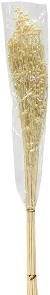 26" L Dried Sesame Bunch