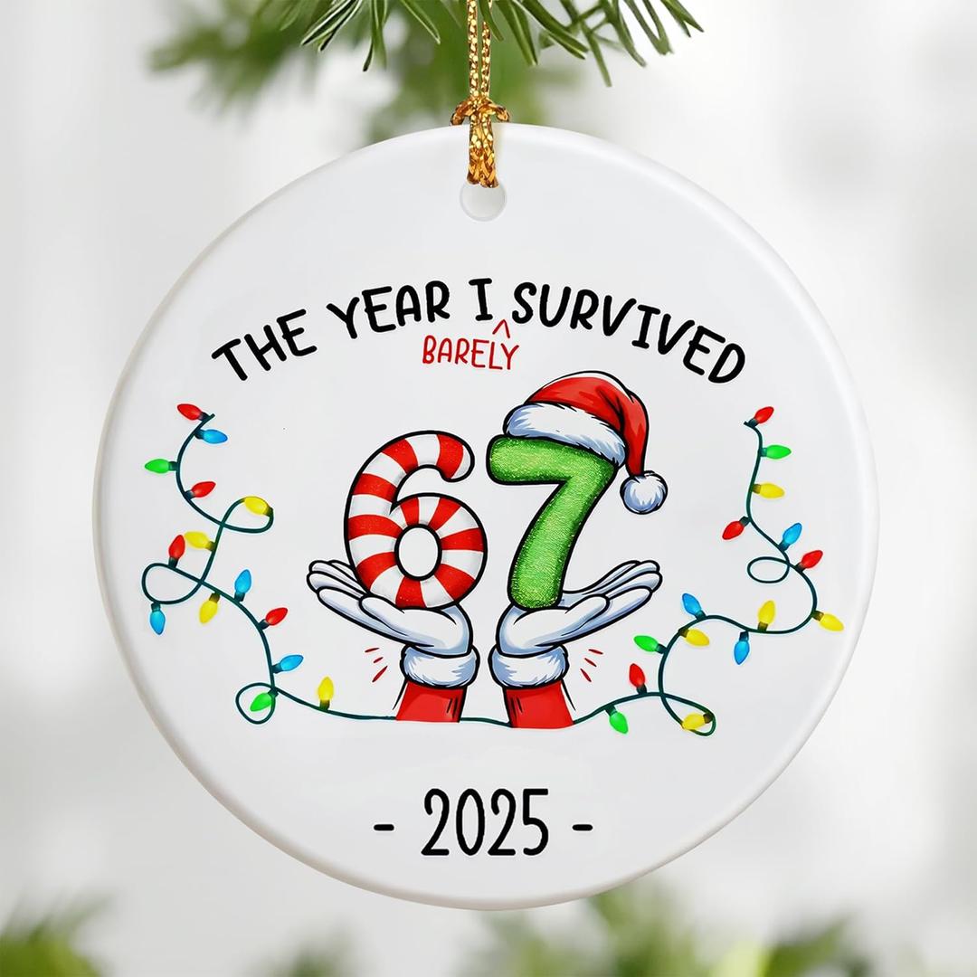 Funny 67 Ornament | 2025 Slang Christmas | Funny Christmas Ornaments 2025 | Funny Teen Grandkid Ornament | Gen Alpha Xmas Gift | 67 Gift (Six Seven-h)