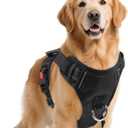 No Pull Dog Harness with 2 Leash Clips, Reflective Adjustable Soft Padded Vest with Handle, Breathable Oxford No Choke Pet Vest for Small Dogs, Black,S