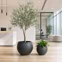 Round Planter Pots for Outdoor Indoor Plants(13"&10"), Set of 2 Lightweight Concrete Planters with Drainage Hole, Large Olive Tree Pots for Plants Front Porch, Patio, Home Decor - Black