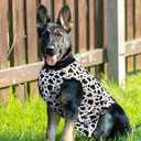 Recovery Suit for Dogs After Surgery, Dog Recovery Suit Female Male after Neutering, Dog Spay Surgical Recovery Suit Female Substitute Cone & E-Collar, Dog Onesie for Surgery Abdominal Wounds Bandages (XS)