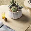 LE TAUCI Succulent Pots, 6.5+8 Inch Ceramic Indoor Plant Pot with Drainage Hole, Shallow Round Succulent Planters, Set of 2, Reactive Glaze Star White, 8x8x5 Inches
