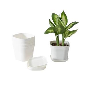 Small Pots for Plants 5,5 inch Plant Pot Indoor Square Mini Plastic Flower Pots Outdoor for Garden (White-5pcs, 5,5 inch)