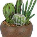 Assorted Artificial Cactus Plants Indoor - 5.9" Small Faux Succulent Cacti Plants in Pots Mini Fake Flowering Cactus Potted with Bowl for Home Office Living Room Bathroom Shelf Table Indoor Decor