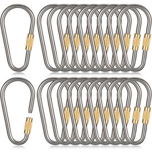 Skylety Mini Titanium Locking Clips D-Ring Locking Snap Keychain Keyring Screw Lock Buckle for Outdoor Indoor Dog Tags Use, Lightweight and Sturdy