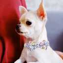 Dog Collar and Leash Set Girls Adjustable Puppy Collars with Floral Bow Tie for Small Medium Large Female Dogs, Blue Flower, XS
