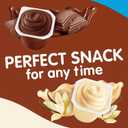 Snack Pack Zero Sugar Chocolate and Vanilla Flavored Pudding Cups, 3.25 oz., 12-Count Family Pack