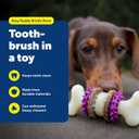 PetSafe Busy Buddy Bristle Bone Dog Chew Toy - Treat Holding Toothbrush Toy for Hard Chewers - Helps Keep Your Dog's Teeth Clean - Durable, Interactive - Purple, Large