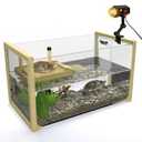 Turtle Aquarium Kit - Aquatic Turtle Tank with Filter and Light + Turtle Basking Platform, Perfect Turtle Starter Kit for Kids, Small Turtle Tank for Baby & Juvenile Turtle